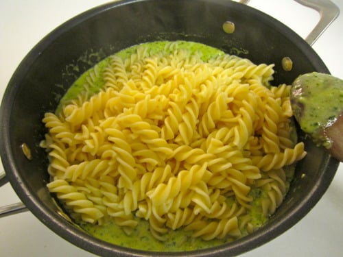 Pasta with Fresh Basil Pesto Cream Sauce - remove from heat; immediately combine the hot pasta and pesto mixture, allowing the flavors to soak.