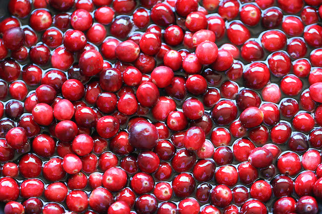 Sugared Cranberries - Incredibly simple and easy 2-ingredient sparkling cranberries. Perfect for holiday snacking or dressing up desserts!
