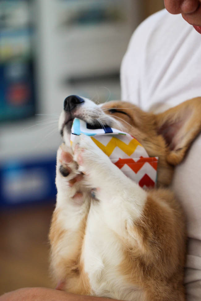 Sparkling Strawberry Lemonade - Wonderfully sweet, tangy, refreshing and bubbly. Plus, it's so easy and inexpensive to make right at home!