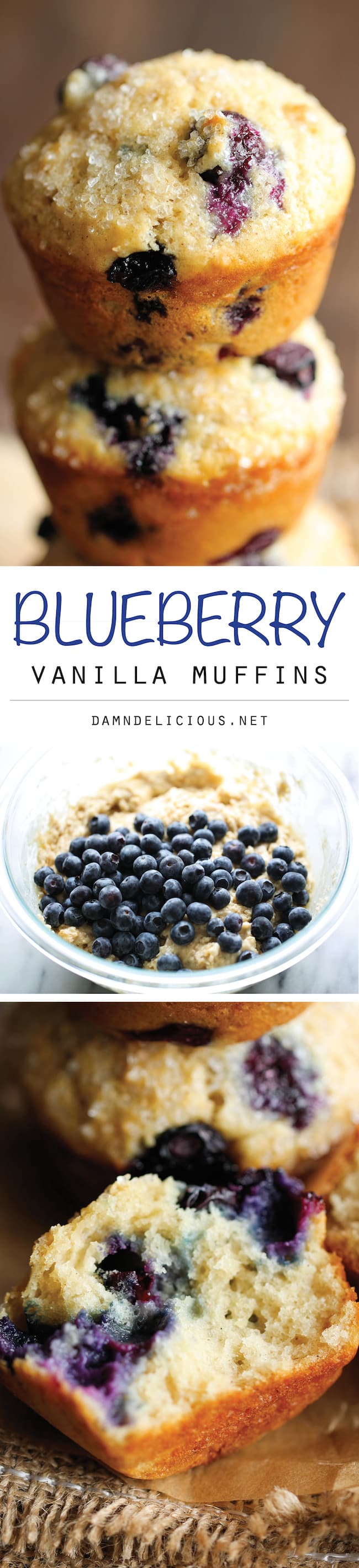 Blueberry Vanilla Muffins - These light and airy muffins are loaded with juicy blueberries and extra vanilla goodness!