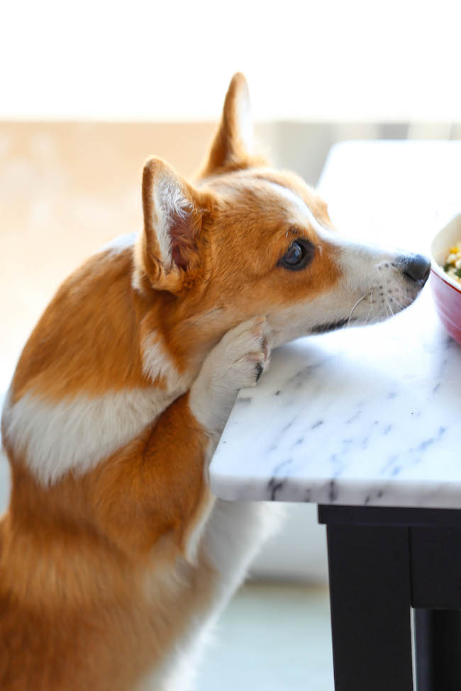 Chicken Florentine Artichoke Bake - An easy weeknight casserole with chicken, artichokes, spinach and sun-dried tomatoes - and all you need is 10 min prep!