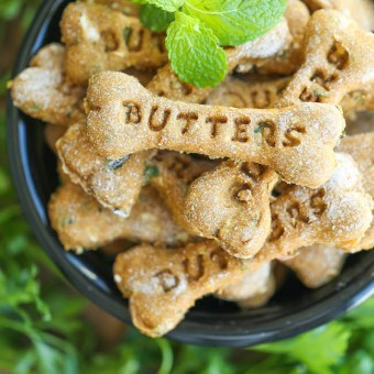 Pumpkin Apple Doggie Mint Treats