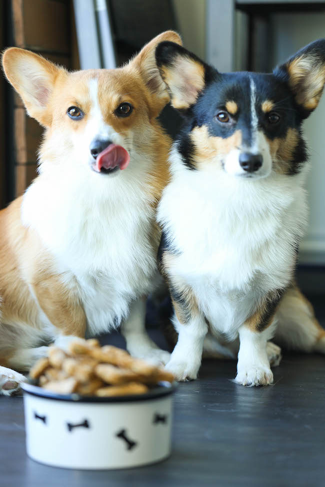 Pumpkin Apple Doggie Mint Treats - Freshen your dog's breath with these homemade dog treats. It's easy, healthy and cheap. It's a win-win!