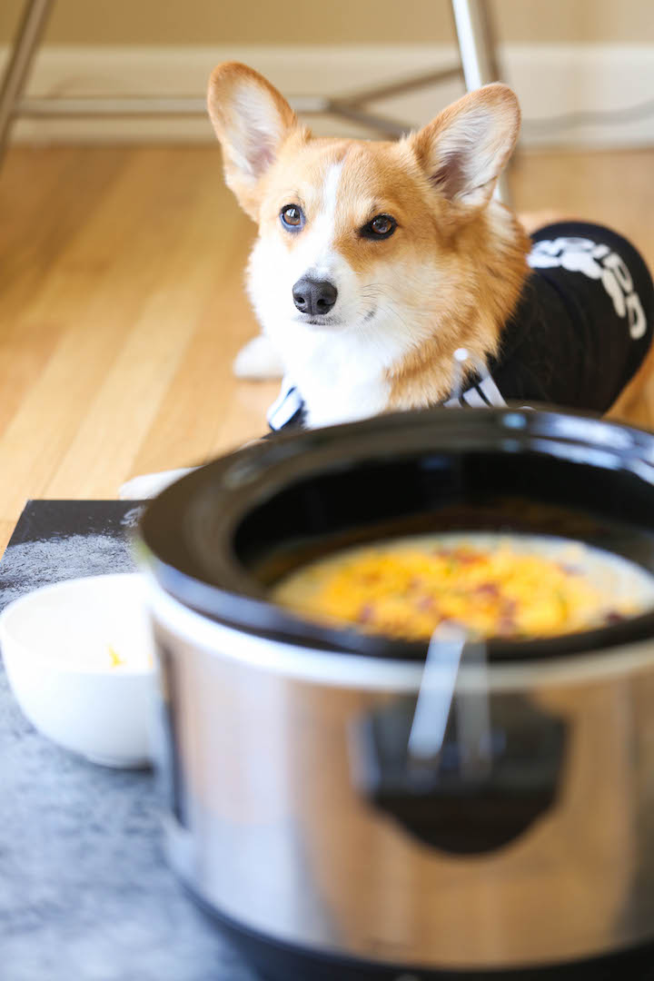 Slow Cooker Cauliflower Chowder - Simply throw everything into the crockpot, blend and top with bacon and cheese. Healthy, hearty, easy and effortless!