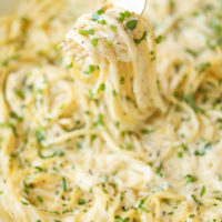 Four Cheese Spaghetti