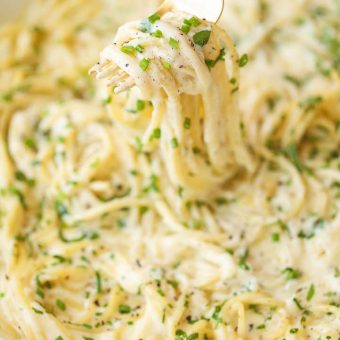 Four Cheese Spaghetti