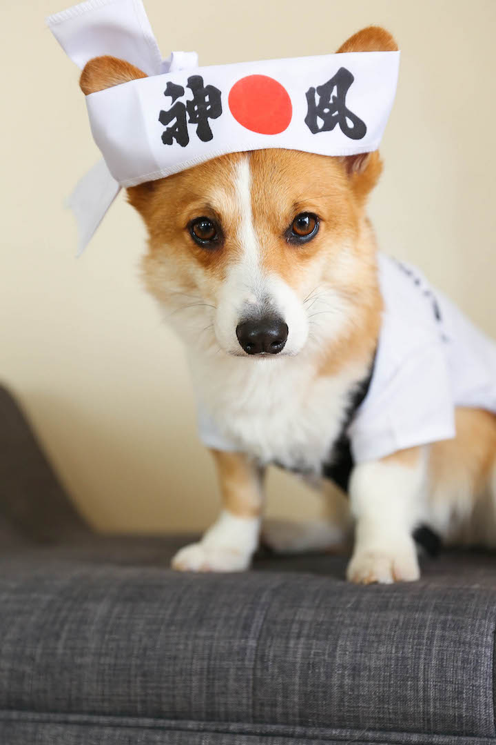 Patty Melt Grilled Cheese - A classic American diner sandwich, with melted cheesy goodness, a juicy patty and caramelized onions - made in a waffle maker!!!