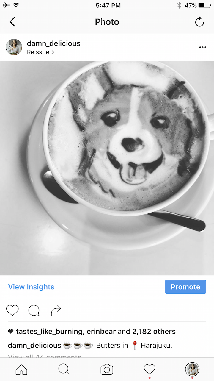 White Mushroom Pizza - The BEST pizza for all cheese and mushroom lovers! Loaded with 2 types of cheese and garlic herb sautéed mushrooms!! AMAZING.