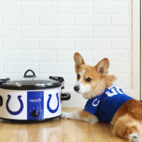 NFL Crock-Pot Slow Cooker Giveaway