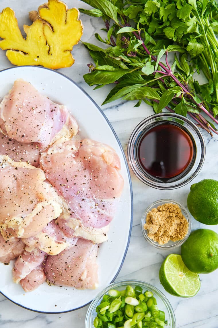 Thai Chicken Thighs - Cilantro, basil, fish sauce, lime juice + brown sugar makes for the best marinade ever! Grill or make on the stovetop!