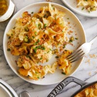 Serving scoop of tuna noodle casserole showing creamy sauce and noodles