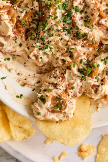 Caramelized Onion Dip