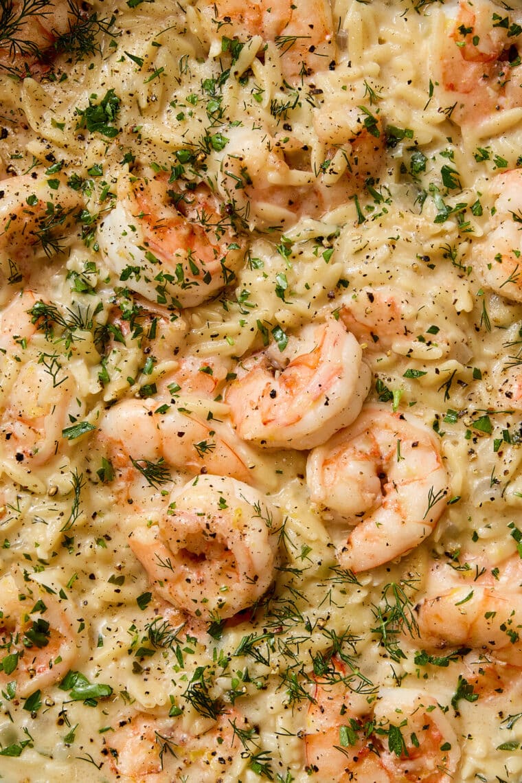 One Pot Garlic Butter Shrimp and Orzo - A cozy, quick-cooking one pot meal with juicy shrimp and the dreamiest, most velvety, creamy orzo. Made in 40 min! So easy, so so good.